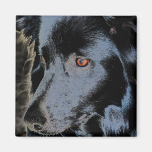 Black Border Collie Face Dog Magnet