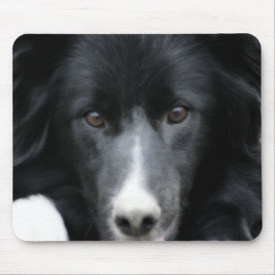 Black Border Collie Face Dog Mouse Mat