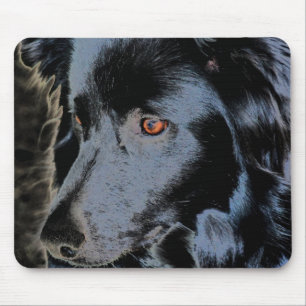Black Border Collie Face Mouse Mat