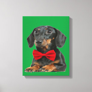 Black Border Collie Puppy Canvas Print