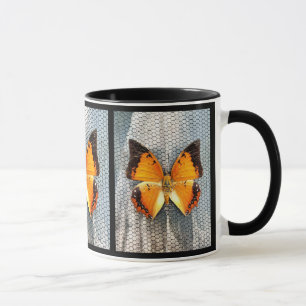 Black-Bordered Charaxes Butterfly Coffee Mug