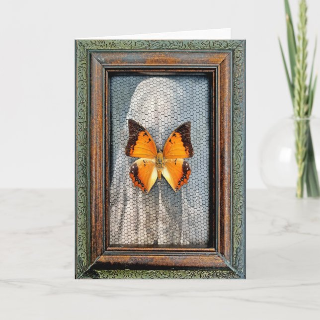 Black-Bordered Charaxes Butterfly Greeting Card V1 (Front)