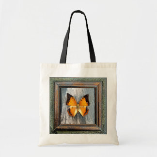 Black-Bordered Charaxes Butterfly Tote Bag