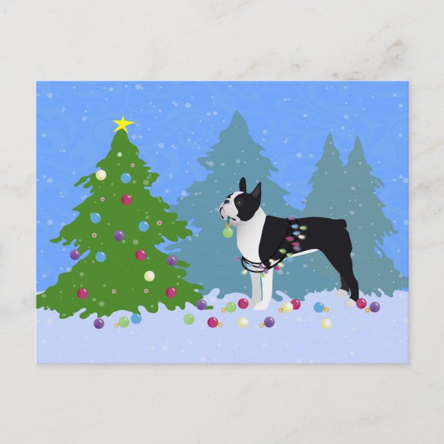 Black Boston Terrier in Christmas Forest Holiday Postcard (Front)