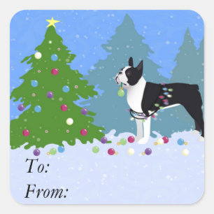 Black Boston Terrier in Christmas Forest Square Sticker