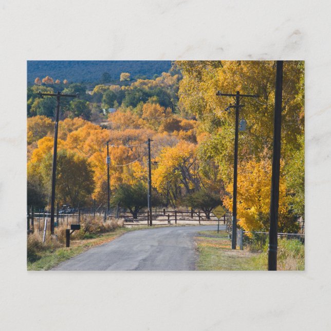 Black Bridge Road Postcard (Front)