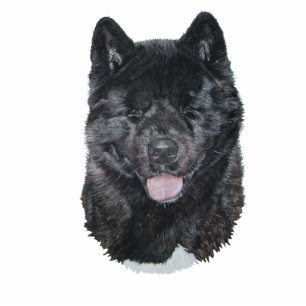 Black brindle akita dog portrait sculpture magnet photo sculpture magnet