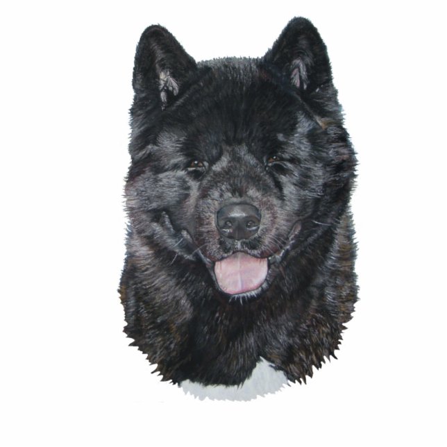 Black brindle akita dog portrait sculpture magnet photo sculpture magnet (Front)