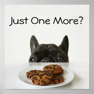 Black Brindle French Bulldog Poster