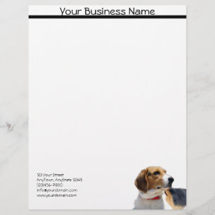 Black Brown and White Beagle Dog Letterhead