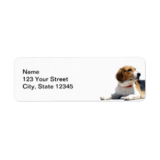 Black Brown and White Beagle Dog Return Address