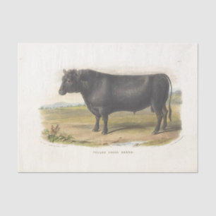 Black Bull Cow Ephemera Decoupage Vintage Farm Tissue Paper