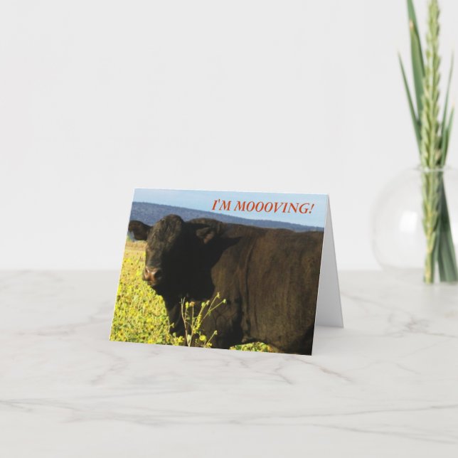 Black Bull in Flowers - Western Change of Address Announcement (Front)