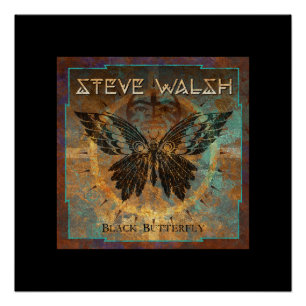 Black Butterfly Artwork Poster