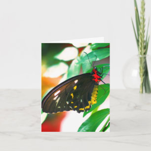 Black Butterfly Nature Customisable Note Card