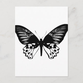 Black Butterfly Postcard