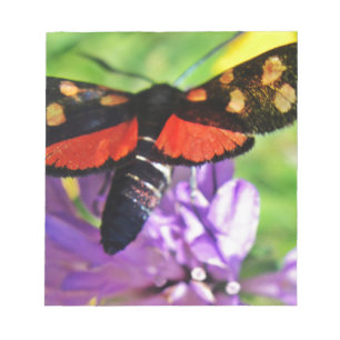 Black butterfly with red wings and red polka dots notepad