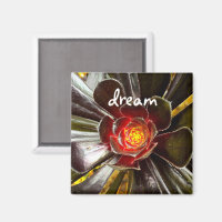 Black Cactus Photo Dream Quote Script Modern Bold