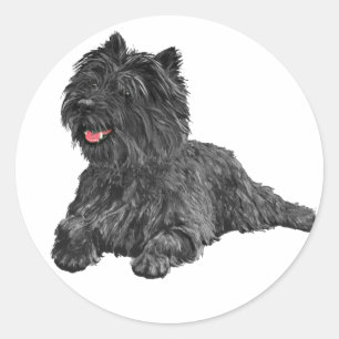 Black Cairn Terrier Classic Round Sticker