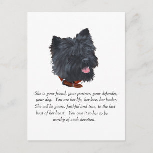 Black Cairn Terrier Keepsake - Female Postcard