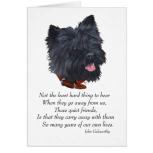 Black Cairn Terrier Rainbow Bridge