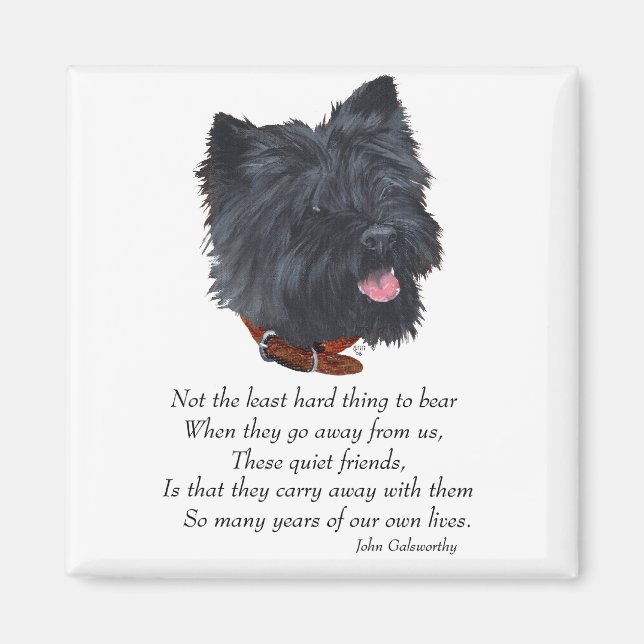 Black Cairn Terrier Rainbow Bridge Magnet (Front)