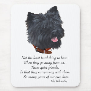 Black Cairn Terrier Rainbow Bridge Mouse Mat