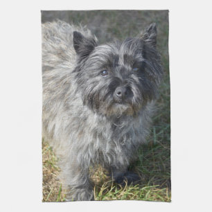 Black Cairn Terrier Tea Towel