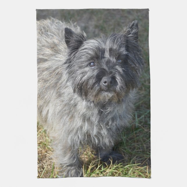 Black Cairn Terrier Tea Towel (Vertical)