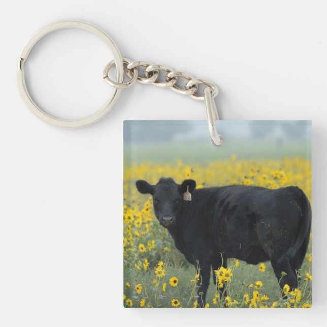 Black Calf in a Field of Sunflowers Key Ring (Front)