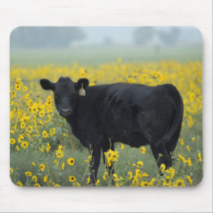 Black Calf in a Field of Sunflowers Mouse Mat