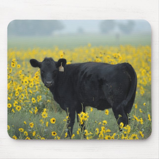 Black Calf in a Field of Sunflowers Mouse Mat (Front)