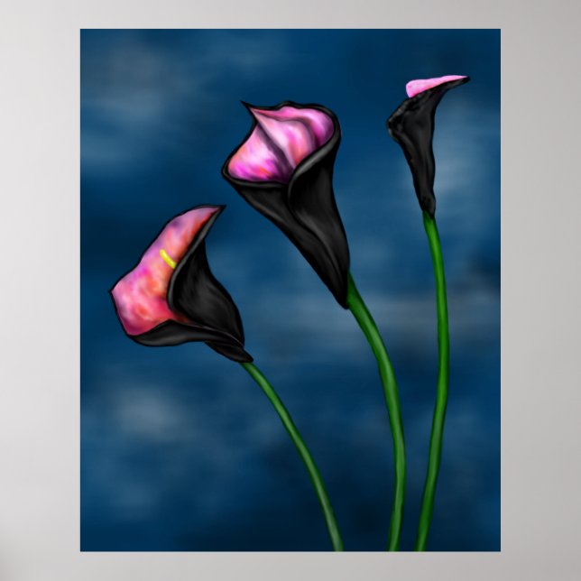 Black Calla Lilies Pink Center Poster (Front)