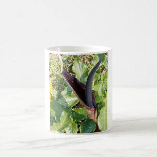 Black Calla Lilly Mug