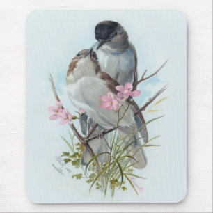 Black Cap Warblers Mouse Mat