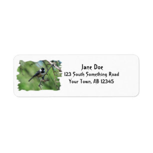 Black-capped Chickadee address label