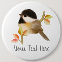 Black-Capped Chickadee Bird