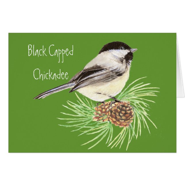 Black Capped Chickadee - Bird - Nature (Front Horizontal)