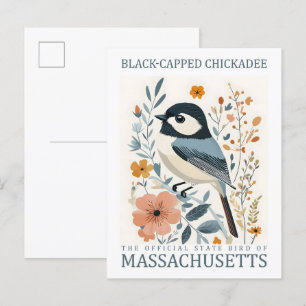 Black Capped Chickadee Bird of Massachusetts USA Postcard