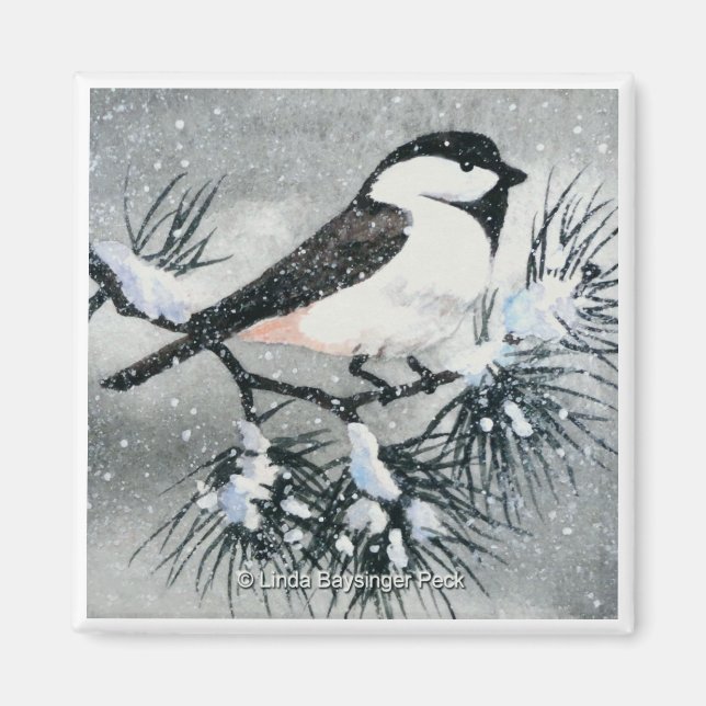 Black Capped Chickadee Bird Square Magnet (Front)