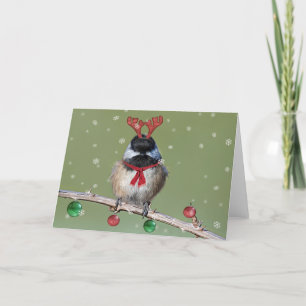 Black-capped Chickadee Christmas Card