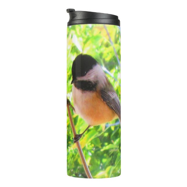 Black Capped Chickadee Cute Songbird Thermal Tumbler (Rotated Right)