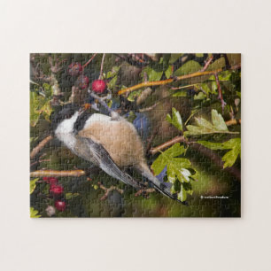 Black-Capped Chickadee Enjoying Autumn Berries Jigsaw Puzzle