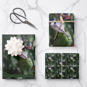 Black-capped Chickadee - Fine Art Bird Photography Wrapping Paper Sheet