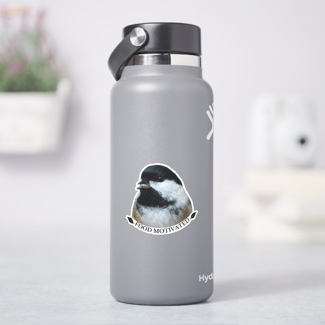 Black-capped Chickadee - Food Motivated (HydroFlask)