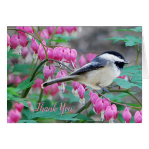 Black Capped Chickadee Greeting Card
