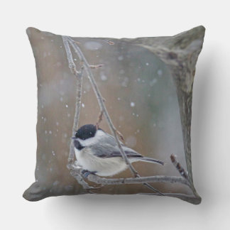 Black Capped Chickadee in Snow Cushion