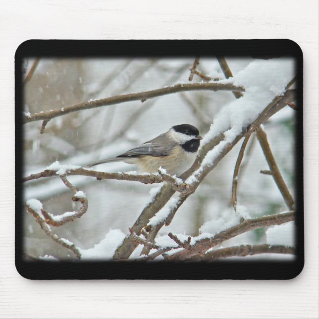 Black-Capped Chickadee in Snow Storm Mouse Mat (Front)
