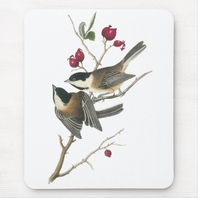 Black-capped Chickadee, John Audubon Mouse Mat (Front)