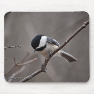 Black Capped Chickadee Mouse Mat